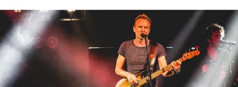 Sting Zürich